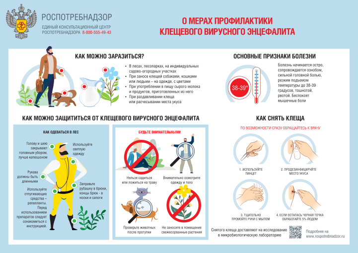 О мерах профилактики клещевого вирусного энцефалита О мерах профилактики клещевого вирусного энцефалита.